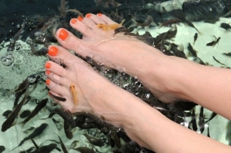 Fish Spa massages in de buurt of omgeving van Overasselt